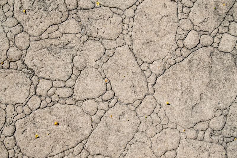Decorative Concrete Repair in Waldorf, MD